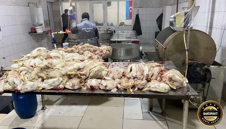 Quş cəmdəklərinin satışa çıxarılmasının qarşısı alındı - FOTO