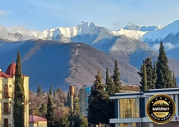 Zaqatala DAĞLARINDA FACİƏ: ayı qazini parçaladı
