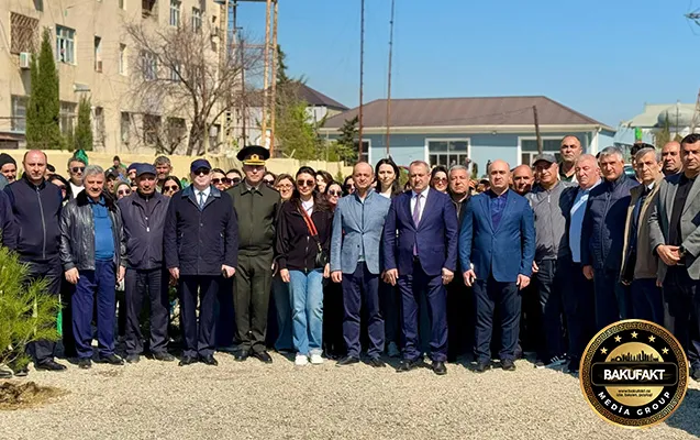 Suraxanıda ağacəkmə aksiyası keçirildi- Fotolar