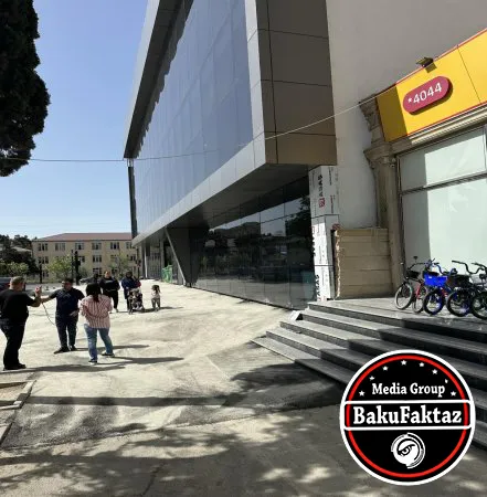 Xırdalanda ağacları gecə ilə kəsib parkinq yeri düzəltdilər – FOTOFAKT